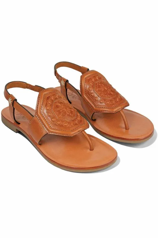 Ancona Thong Sandal | Brighton - SALE