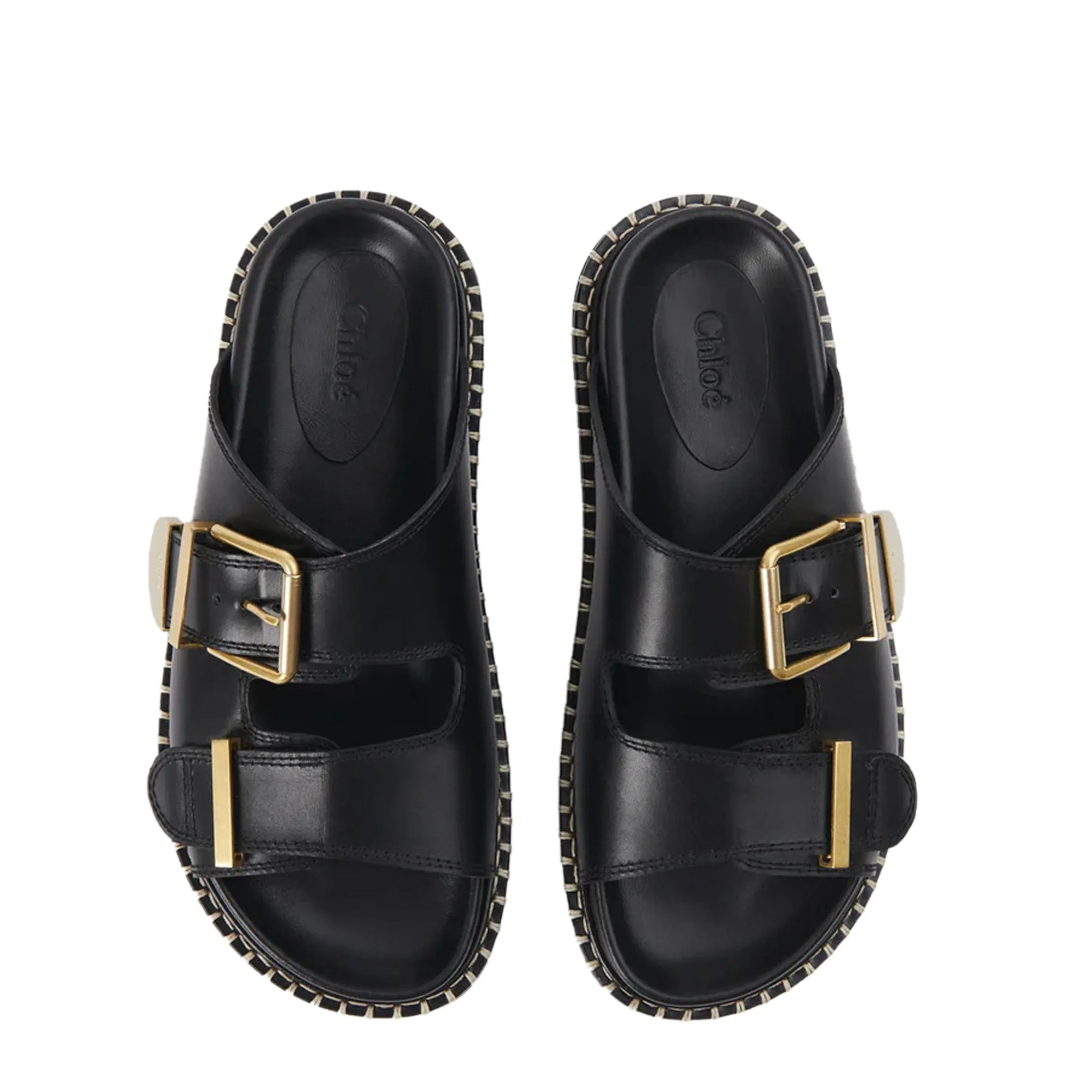 Rebecca Slides, Black