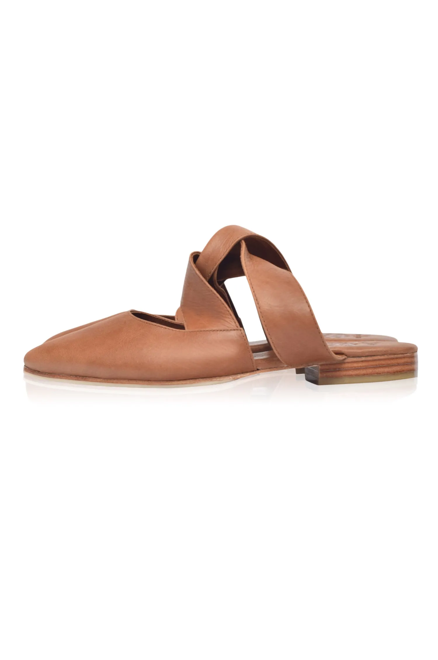 Taj Mahal Pointy Toe Mules