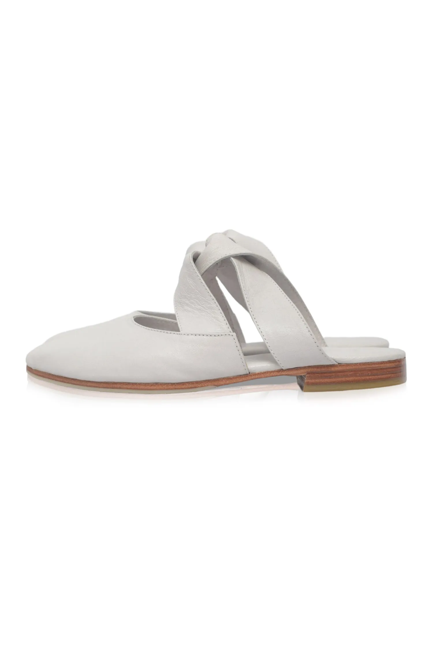 Taj Mahal Pointy Toe Mules